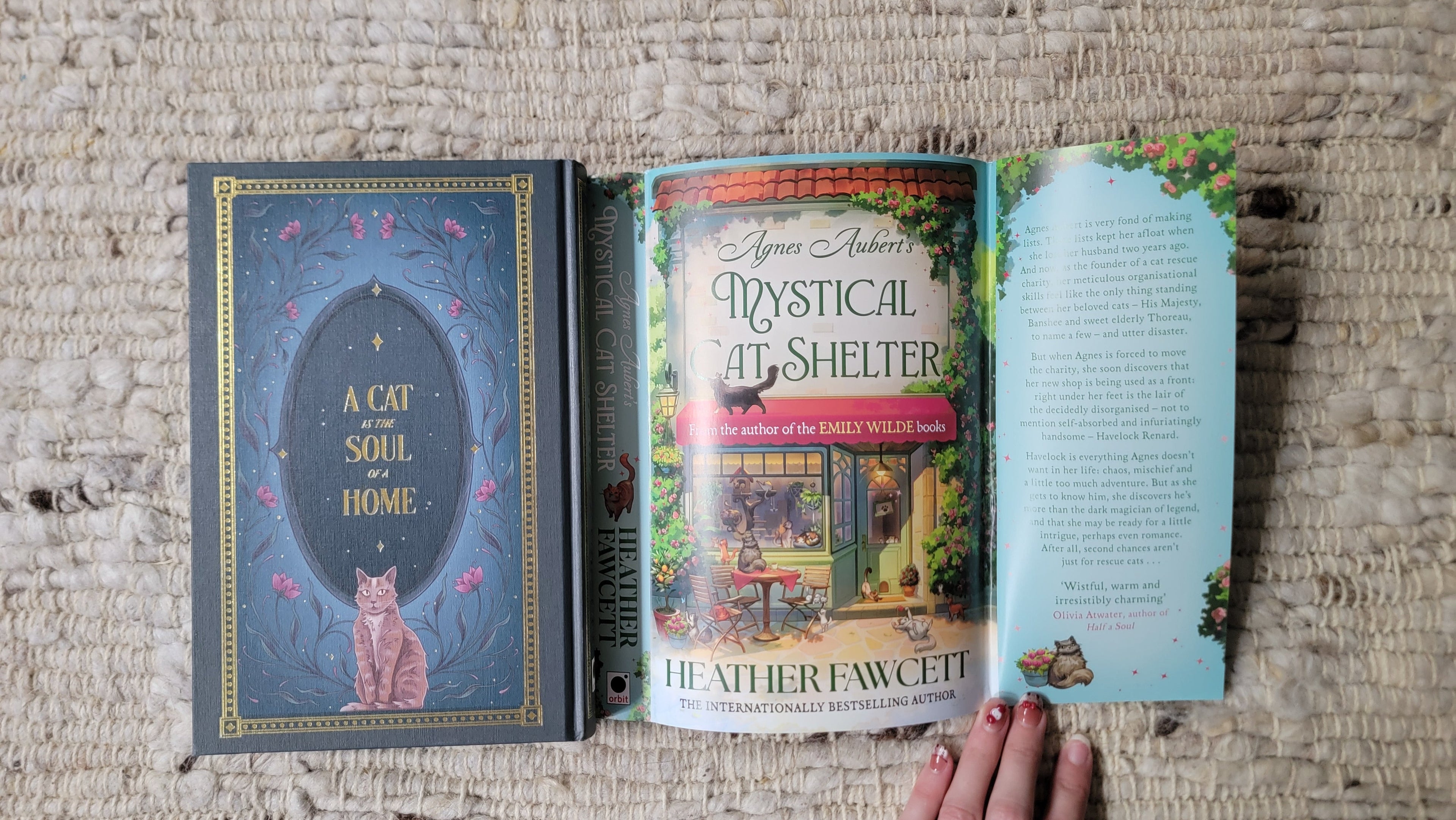 Agnes Albert's Mystical Cat Shelter